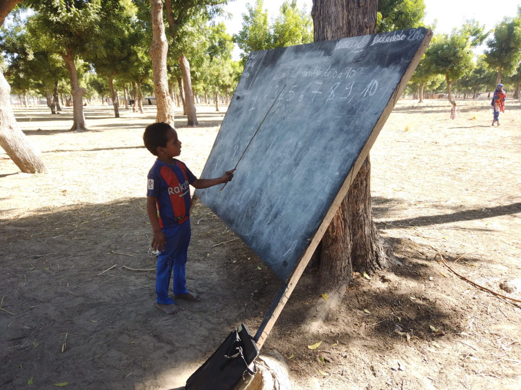 Article : N‘Djaména : une école atypique au rythme de vie des nomades