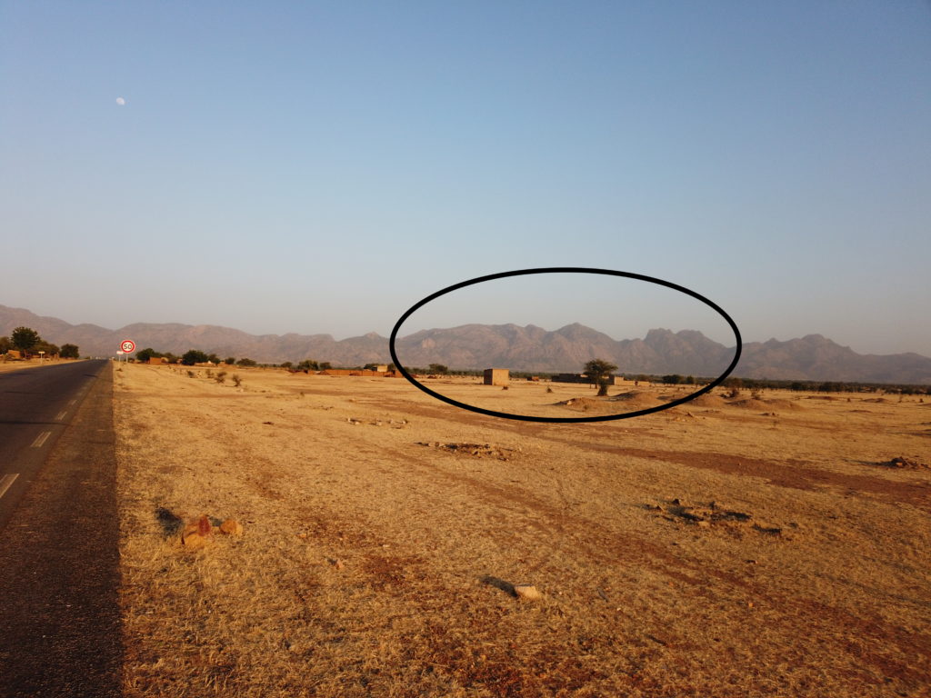 Article : Cashapillar That have Incentive Pet Inn Beograd