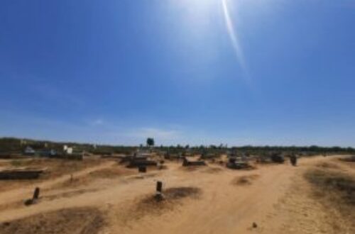 Article : Gestion des cimetières au Tchad : quand t’es mort, t’es mort !