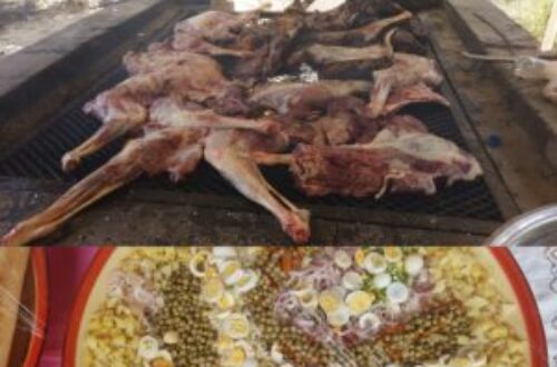 Article : Tchad : ce que pensent mes ami(e)s du véganisme face à leur consommation excessive de viande