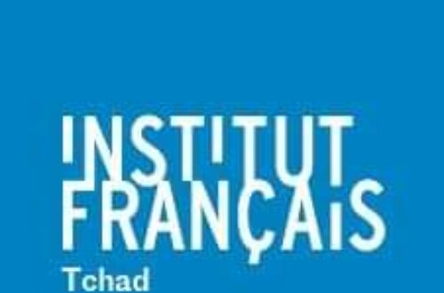 Article : L’Institut Français, ministère de la culture au Tchad ?